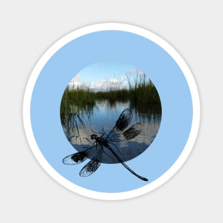 Dragonfly Magnet